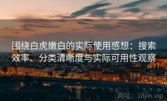 围绕白虎嫩白的实际使用感想：搜索效率、分类清晰度与实际可用性观察