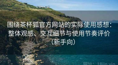 围绕茶杯狐官方网站的实际使用感想：整体观感、交互细节与使用节奏评价（新手向）