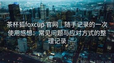 茶杯狐foxcup 官网｜随手记录的一次使用感想：常见问题与应对方式的整理记录