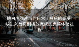 把白虎图片当作日常工具后的感受：从进入首页到播放完成的完整体验过程