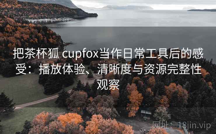 把茶杯狐 cupfox当作日常工具后的感受：播放体验、清晰度与资源完整性观察
